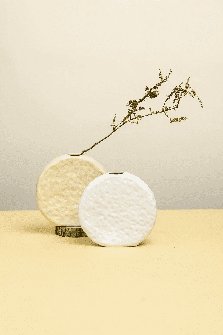 Vase with minimalist design and branch on a neutral background.