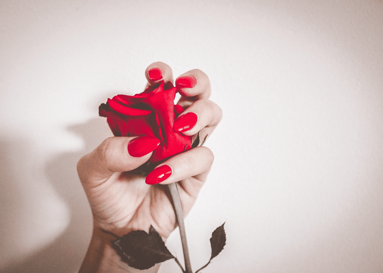 Hand holding a single red rose against a plain background.