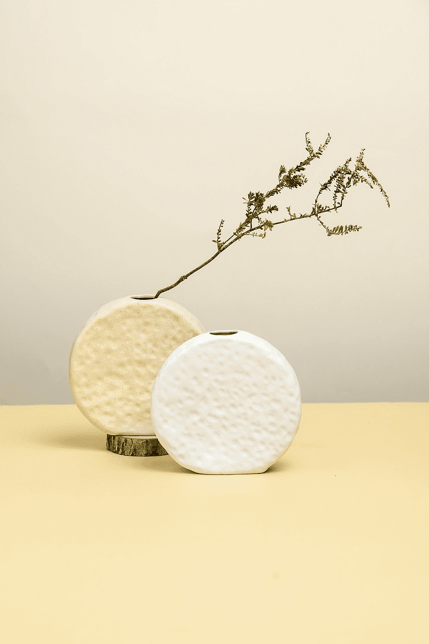 Vase with minimalist design and branch on a neutral background.