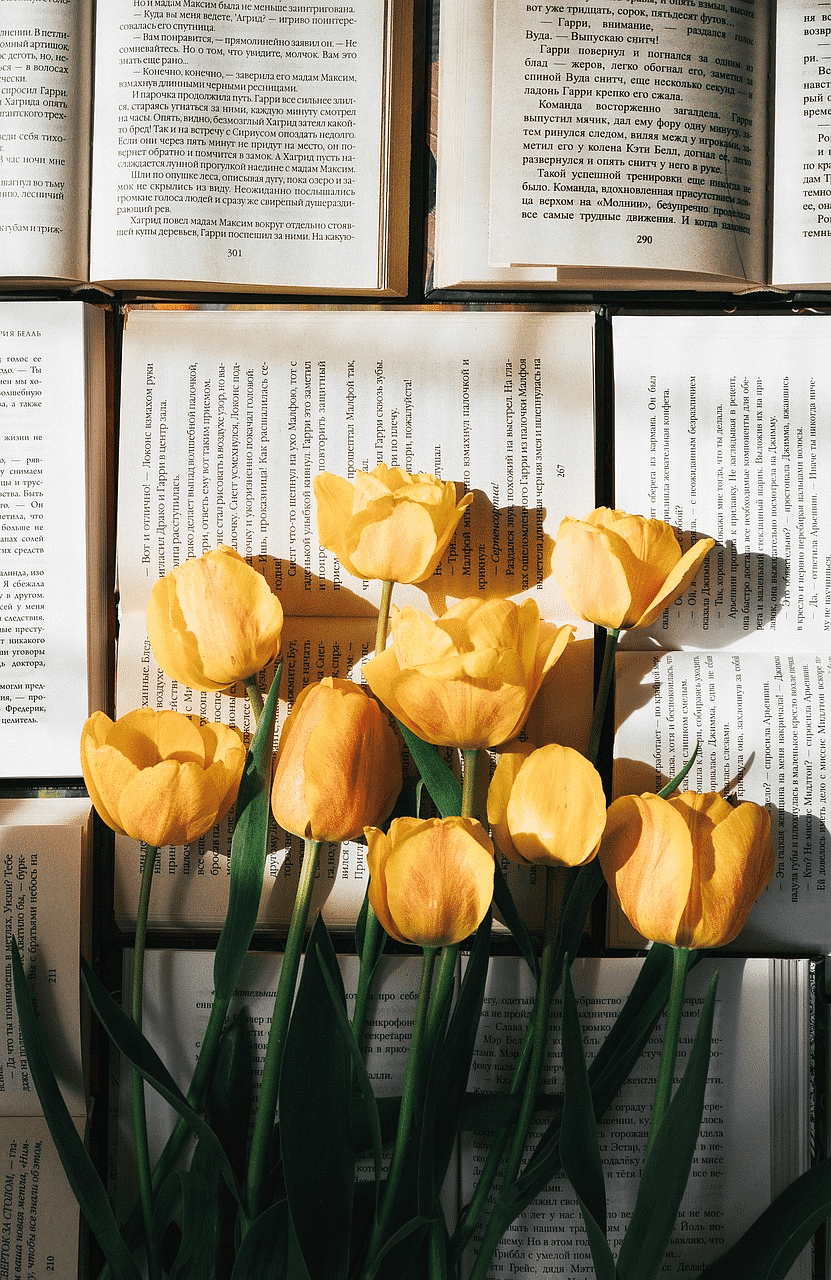 Yellow tulips on open books, creating a warm, serene scene of nature and literature.